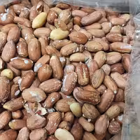 بادام زمینی آستانه ( 200 گرمی ) درجه یک 