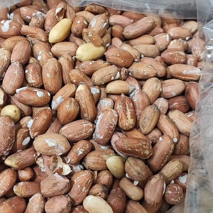 بادام زمینی آستانه ( 200 گرمی ) درجه یک 