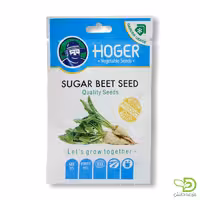 بذر چغندر قند هوگر