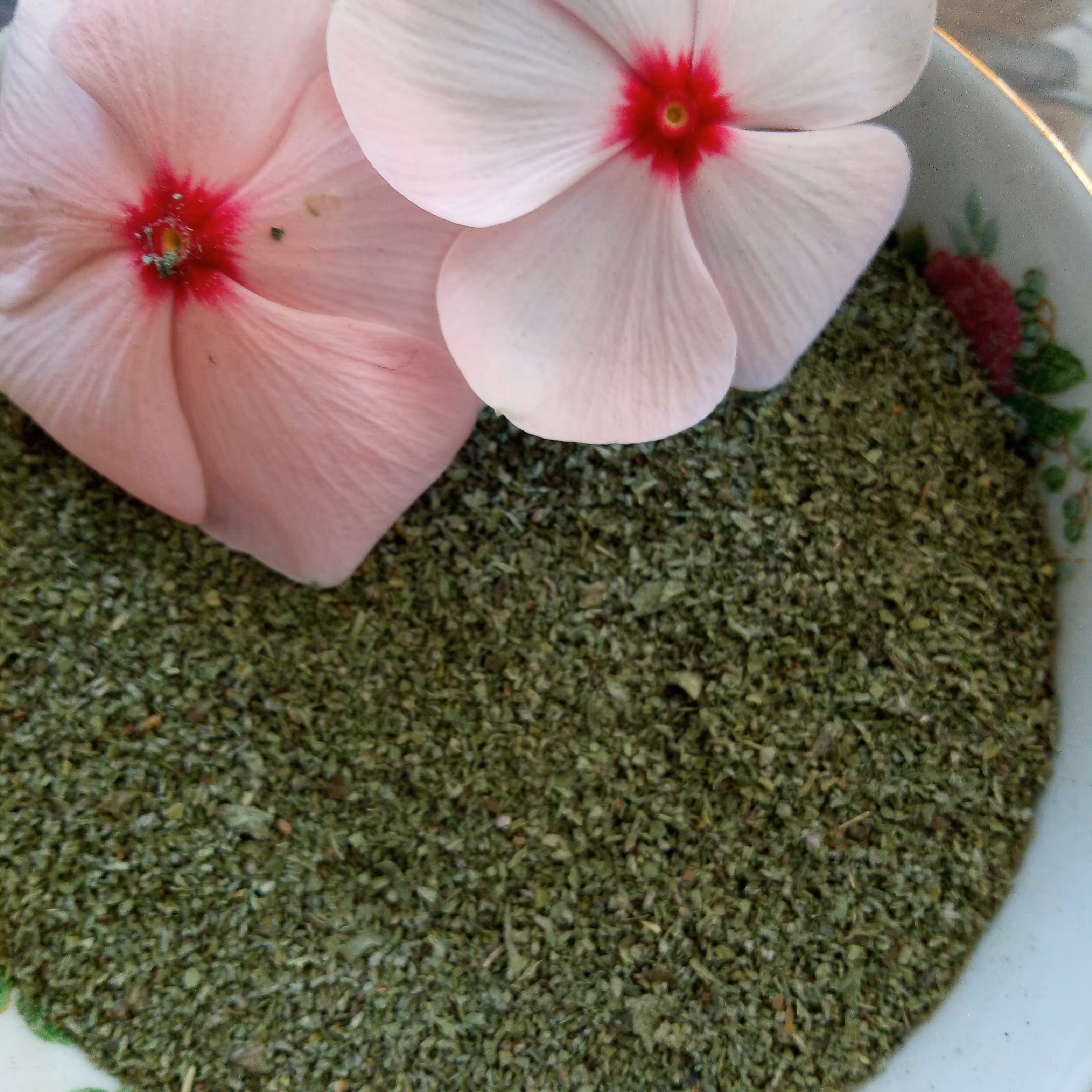 نعنا خشک محلی یک کیلویی