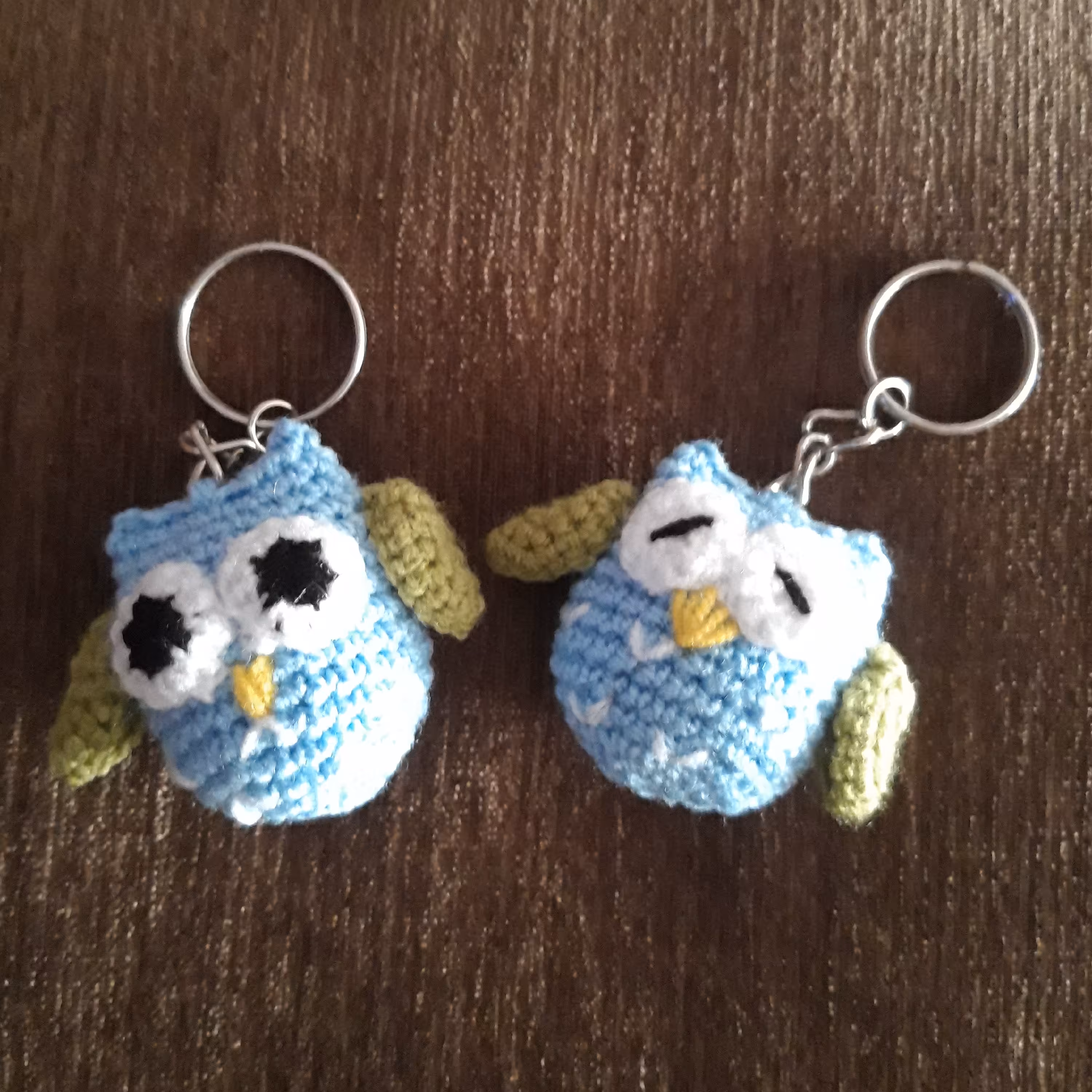 جاکلیدی جغد خواب و بیدار (جفت)