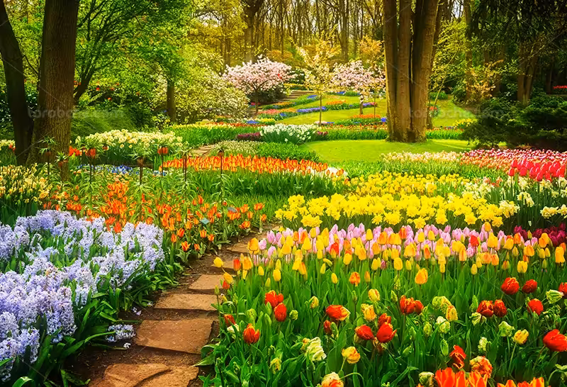 عکس باغ بهاری | گرافیک با طعم تربچه