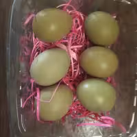 تخم قرقاول خوراکی پُروتی