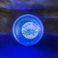 ژل جادویی اکلیلی