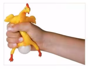 مرغ تخم گذار کوچک