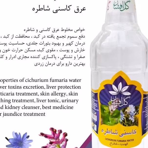 کاسنی شاطره