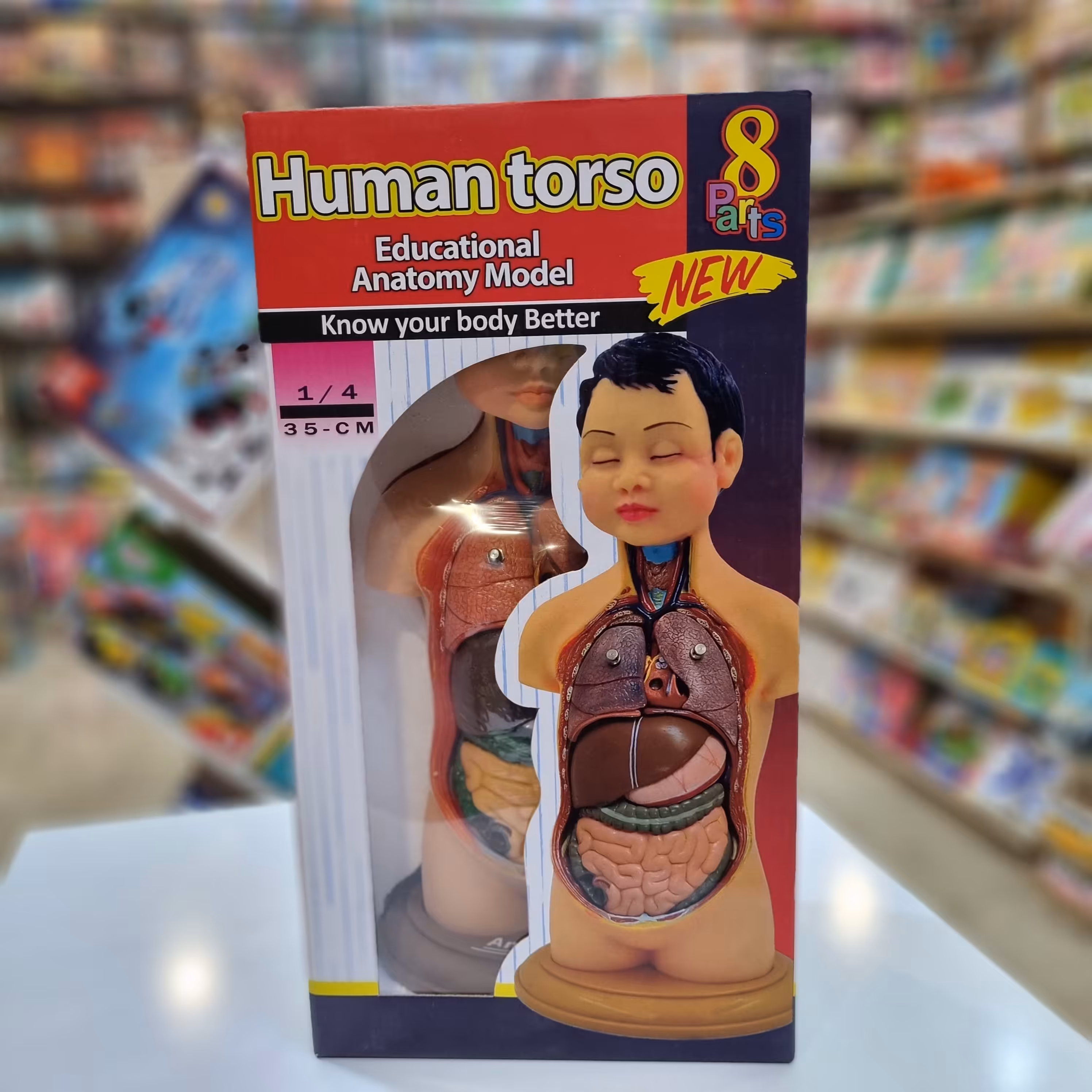 بازی فکری مولاژ آناتومی بدن انسان

نیم تنه انسان 8قطعه 