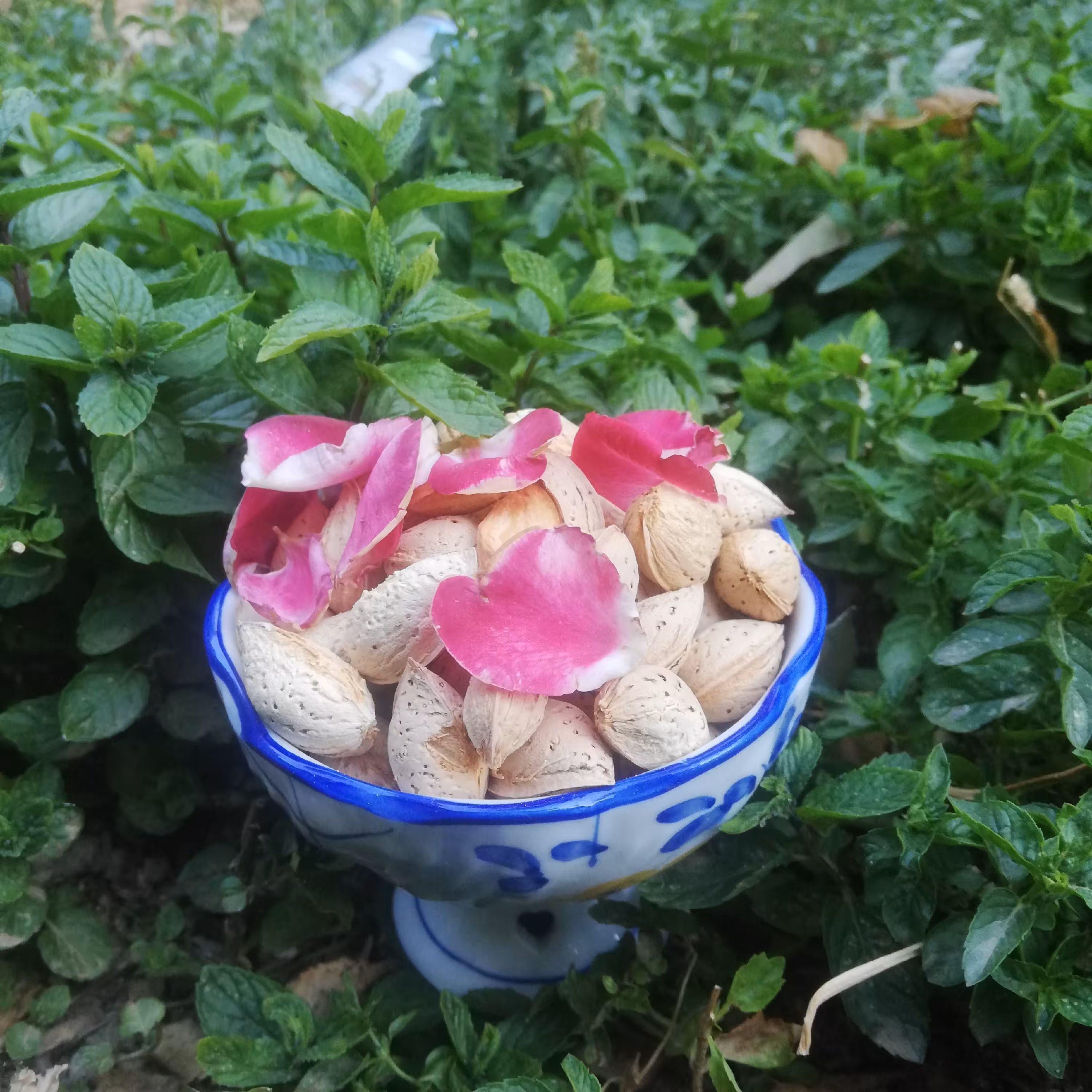 بادام پوست کاغذی(سفید) اعلاء(500گرمی)(ارسال رایگان)