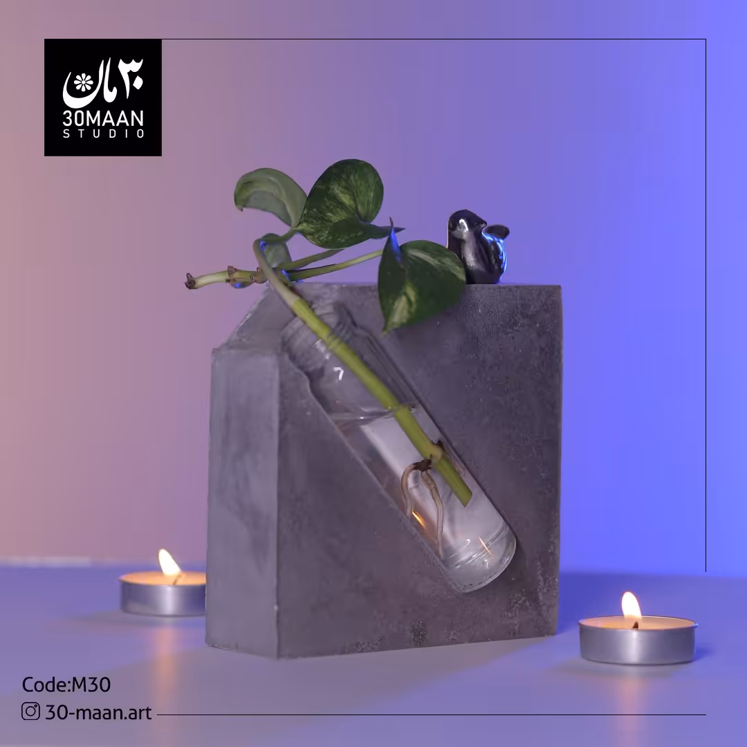 گلدان دکوراتیو مجنون