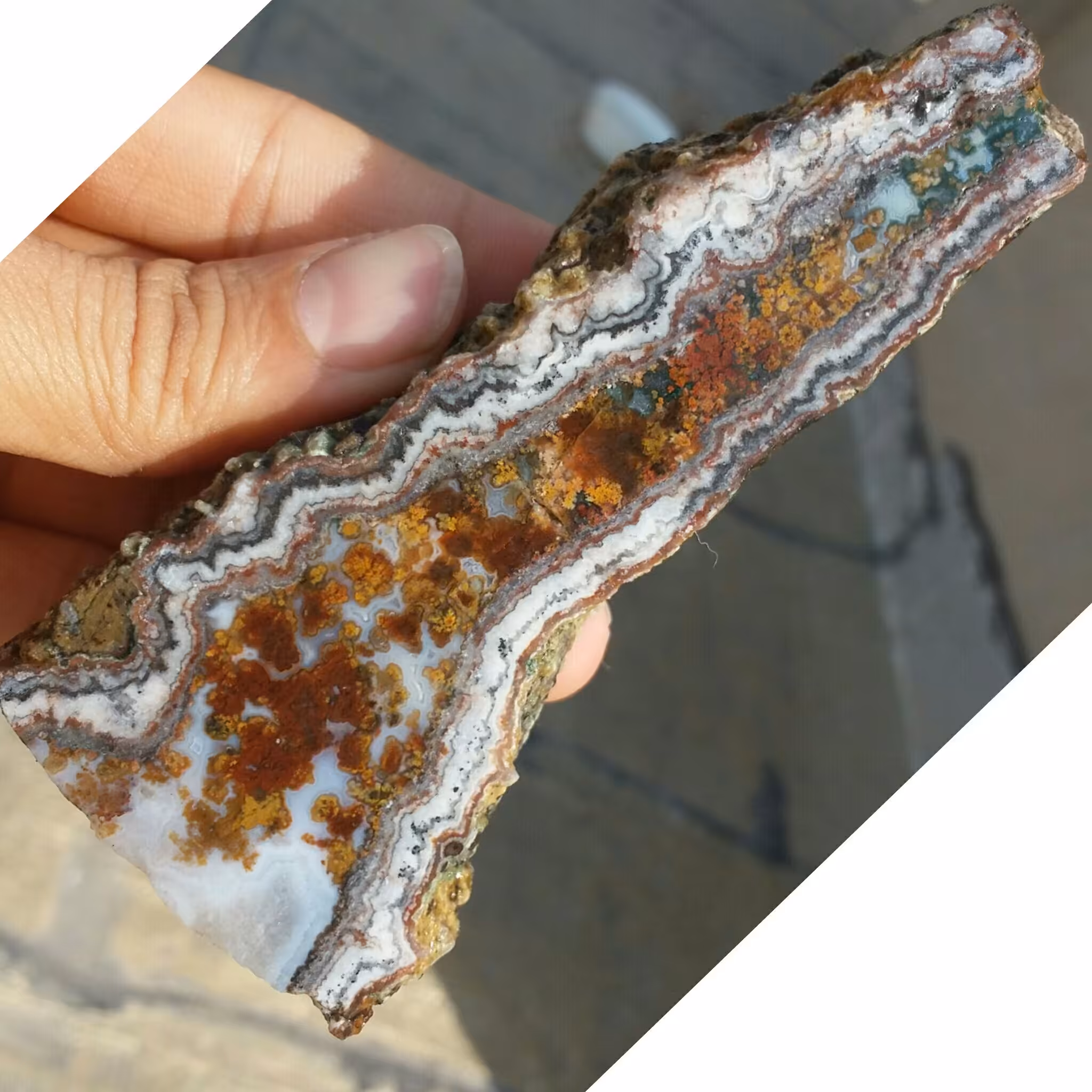 اسلایس سنگ راف شجر 7رنگ محشر شاهکار خلقت کاملا طبیعی
تابلو نقاشی خدادادی فوق العاده
کد 9679