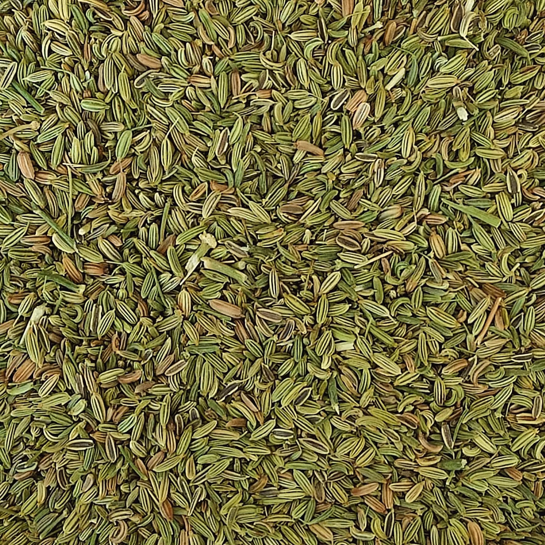 رازیانه ممتاز (250گرمی)