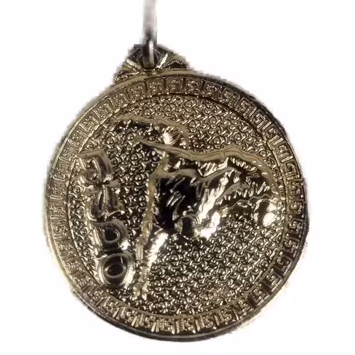 مدال قهرمانی طرح جودو