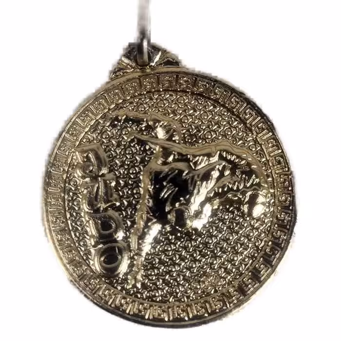 مدال قهرمانی طرح جودو