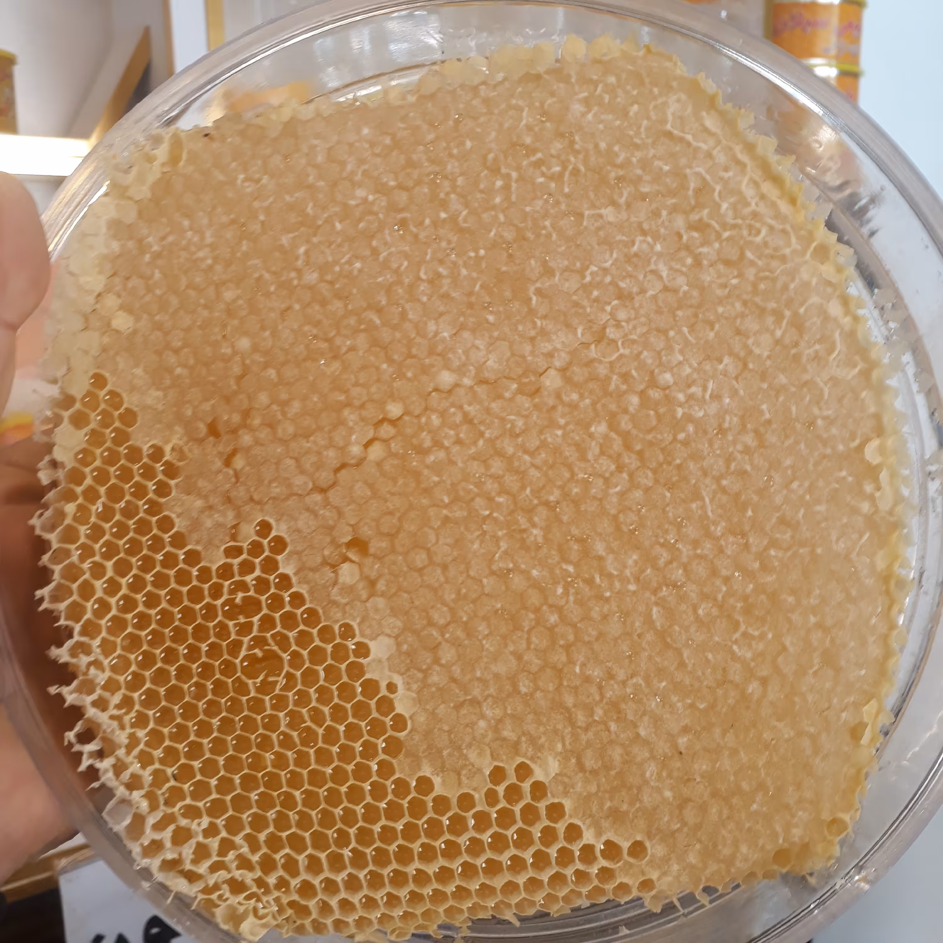 عسل گون