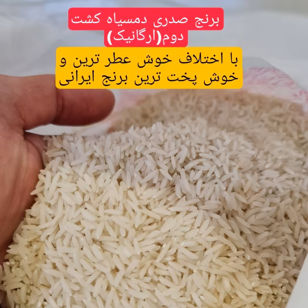 برنج دمسیاه کشت دوم گیلان 10 کیلویی