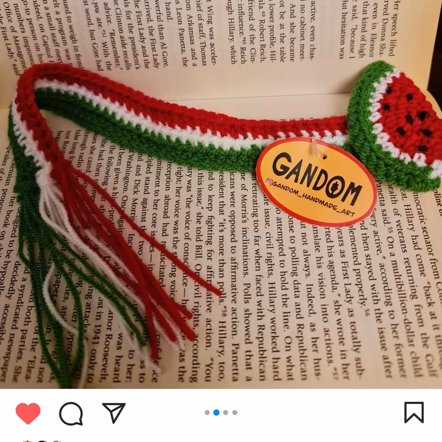 بوک مارک جذاب هندوانه