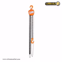 جرثقیل زنجیری رونیکس 2 تن مدل RH-4104