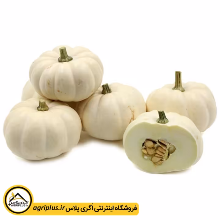 بذر کدو زینتی بوی نوزاد (Cucurbita Pepo Baby Boo) مولر