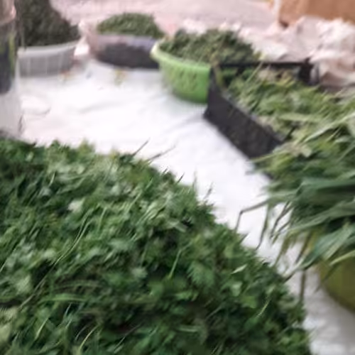 انواع سبزی قورمه ، پلو ،