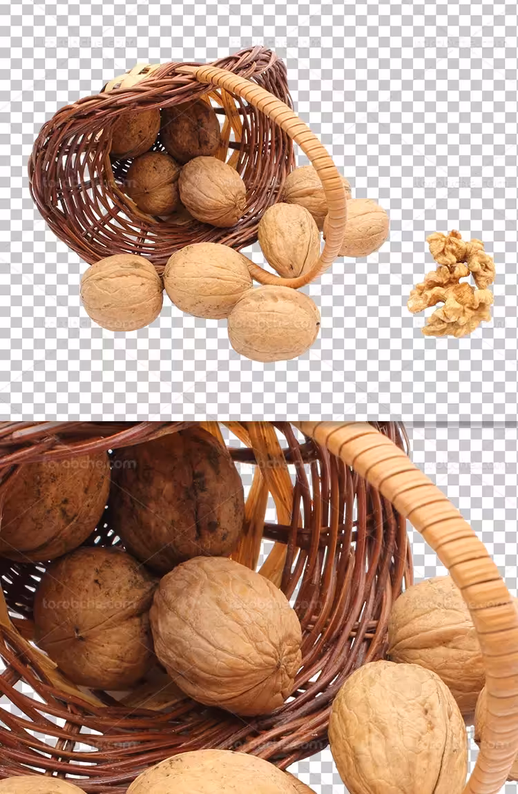 عکس گردو دوربری شده | گرافیک با طعم تربچه