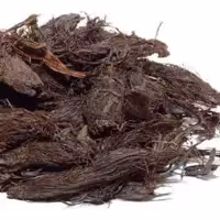 سنبلطیب اعلا