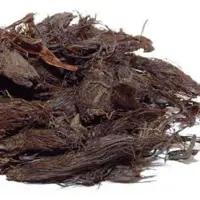 سنبلطیب اعلا
