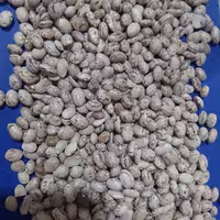 لوبیا چیتی اعلاء 90 در صد پاک شده یک کیلو گرمی 