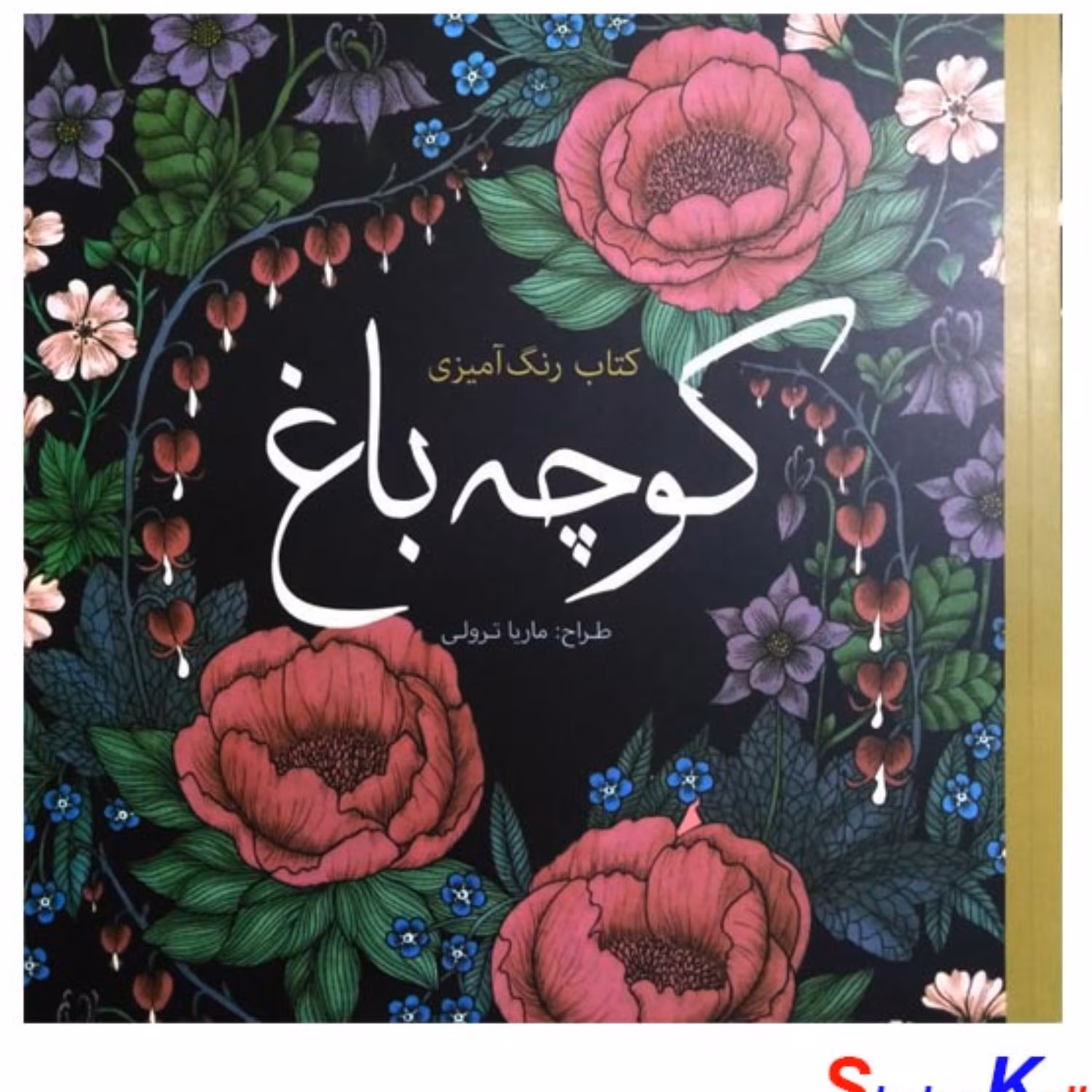کتاب رنگ آمیزی بزرگسالان کوچه باغ