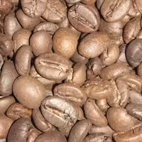 قهوه ربوستا اوگاندا