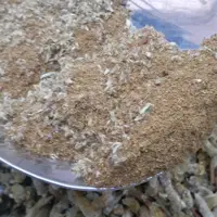 کبد چرب  دم نوش بیدمشک خشک 