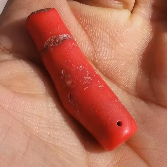 مرجان قرمز (سرخ) سایز  درشت کشیده مناسب گردنبند صد در صد طبیعی و اصل کد 10714