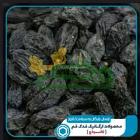 مویز بدون هسته ممتاز فدک (500 گرم)