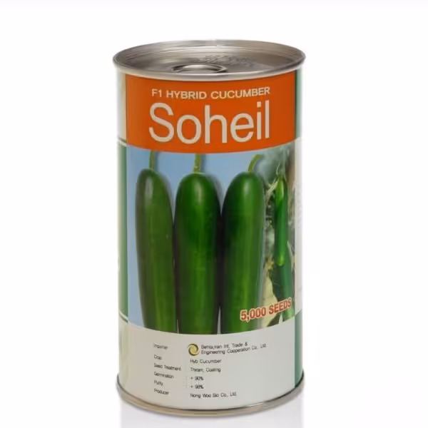 بذر خیار سهیل