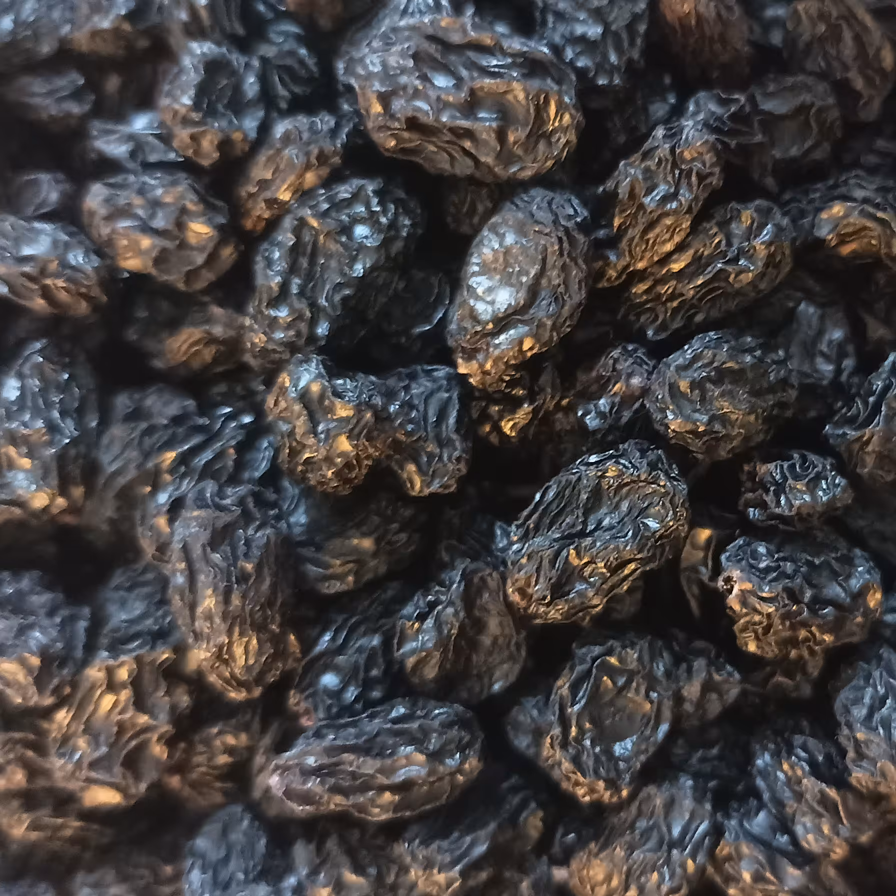 مویز سیاه بی دانه امسالی 4500 گرمی با ارسال رایگان و تضمین کیفیت 