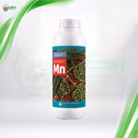 کود دفندر منگنز اسپانیایی مناسب برای رفع کمبود های مربوط به منگنز