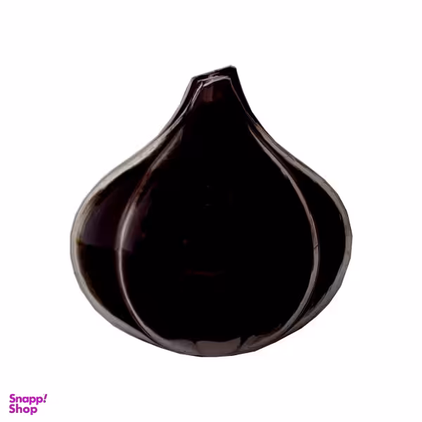 ظرف نگهدارنده پیاز مدل GAR 09