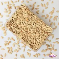 تخمه کدو ریز اعلا یک کیلویی اعتماد نمکی و پرمغز  