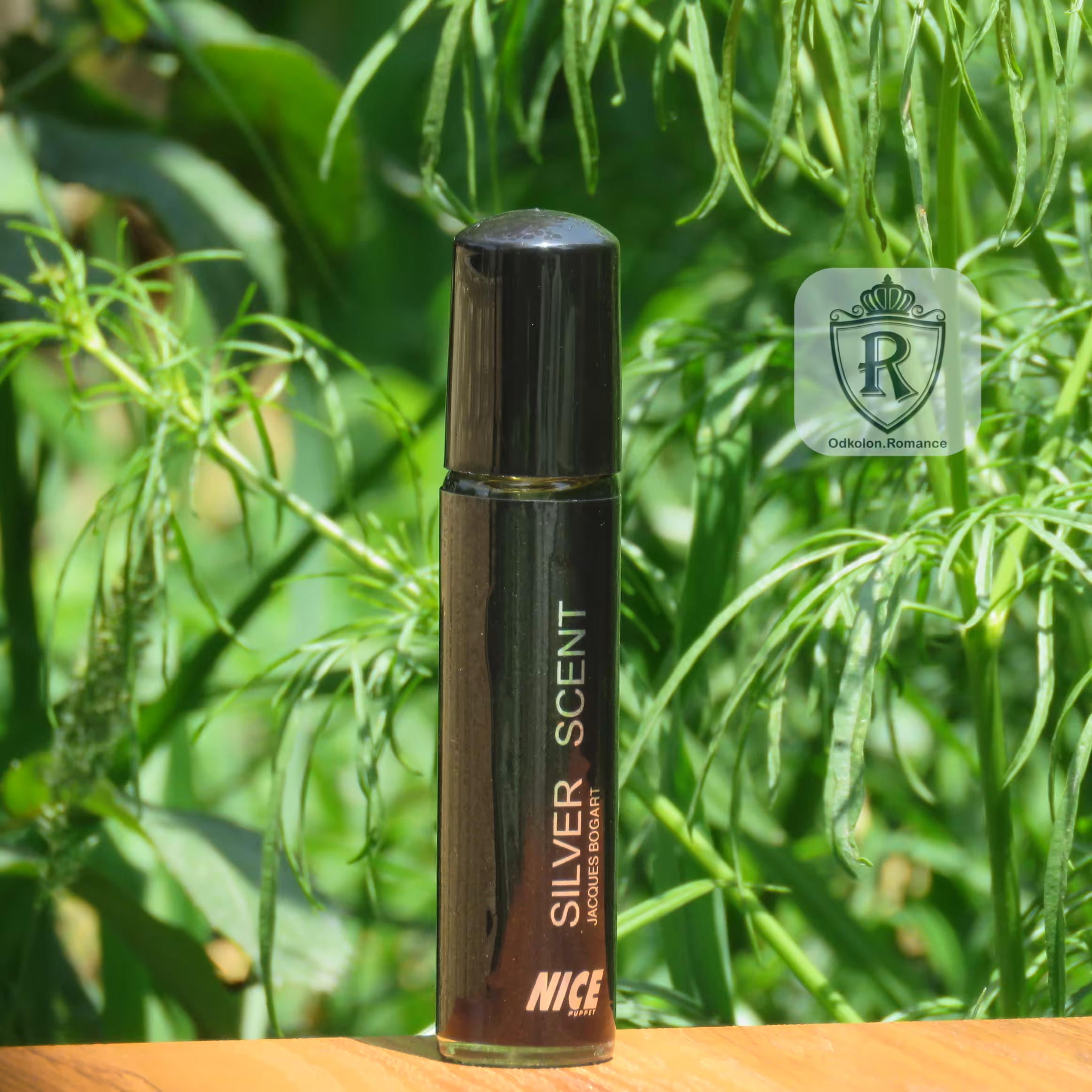 عطر جیبی سیلور سنت  30 میل