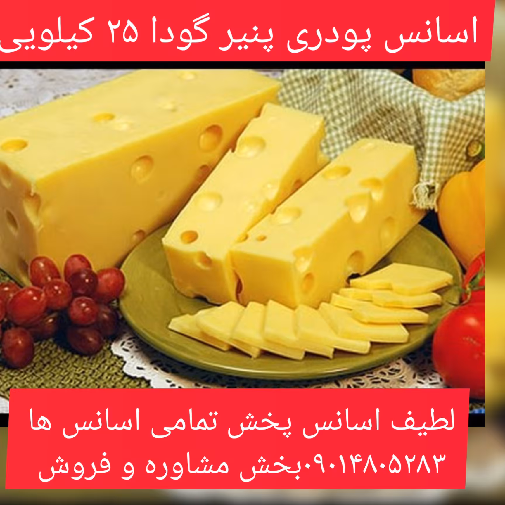 اسانس پودری پنیر گودا 25 کیلویی طعم دهنده قوی 