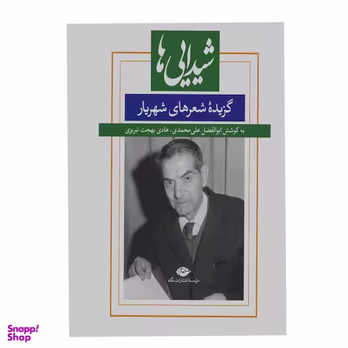 کتاب شیدایی ها اثر ابوالفضل علی محمدی نشر نگاه