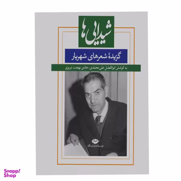 کتاب شیدایی ها اثر ابوالفضل علی محمدی نشر نگاه