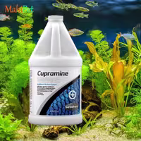 داروی ضد انواع انگل خارجی ماهی سیچم seachem Cupramine حجم 2 لیتر