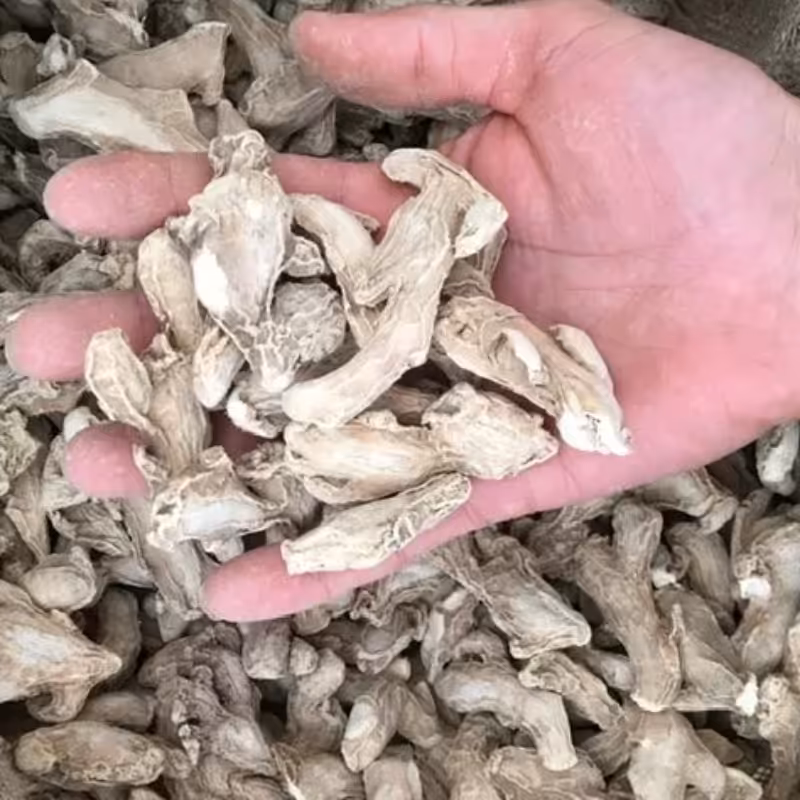 زنجبیل  قلم هندی   10کیلویی 