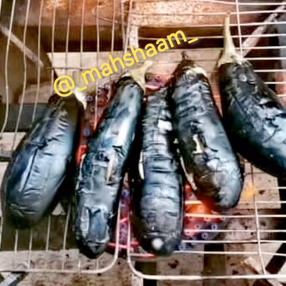 بادمجان کبابی 