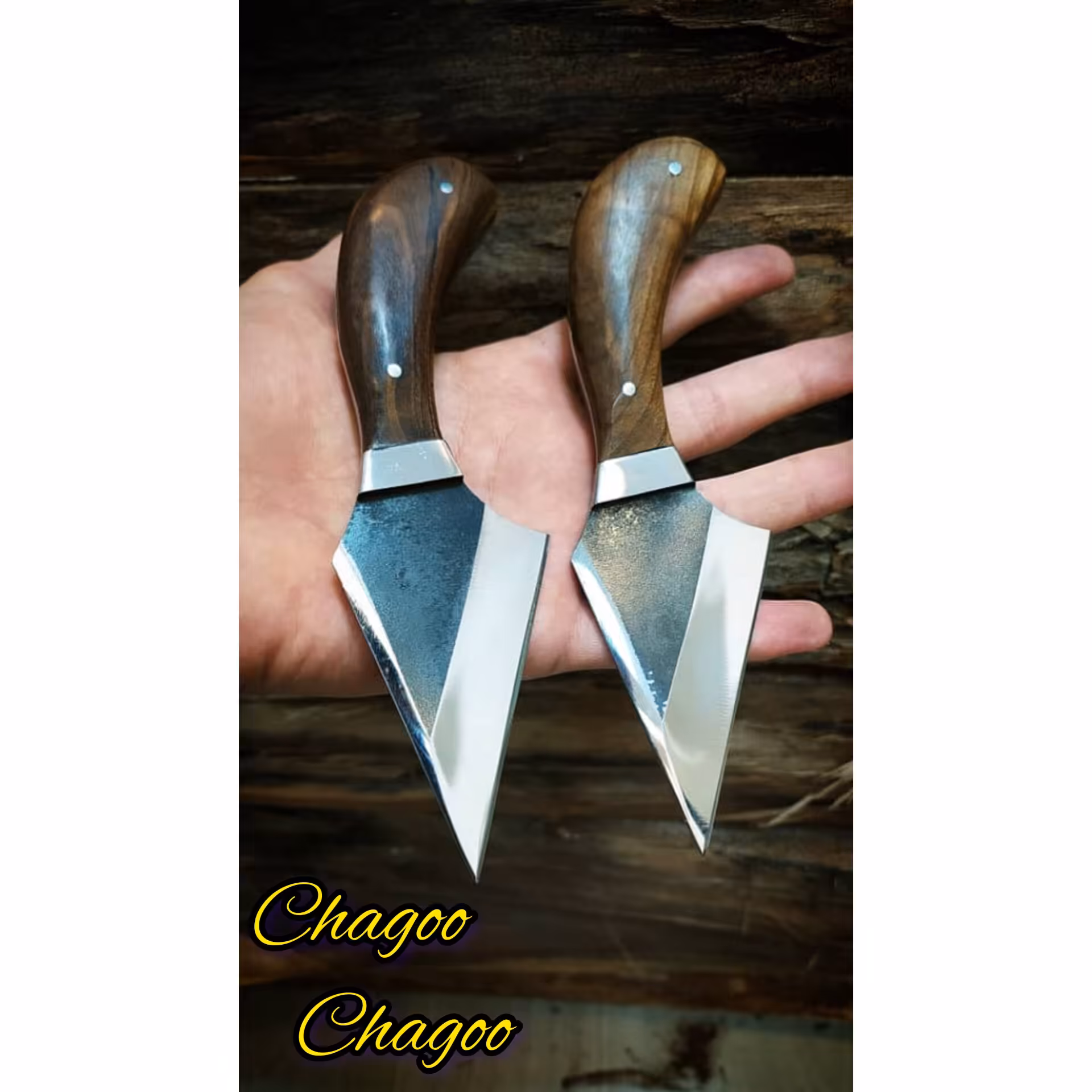 تیزی 18 سانت زنجان