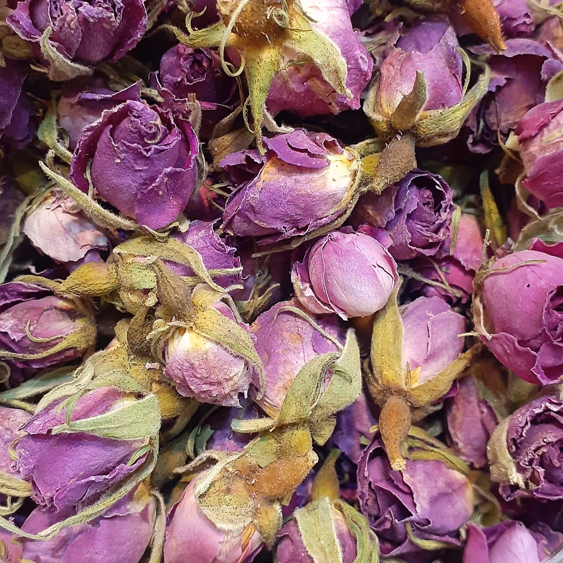 غنچه گل محمدی یا گل سرخ محصولی لوکس از لاله زار مناسب دمنوش  و چای و نذری