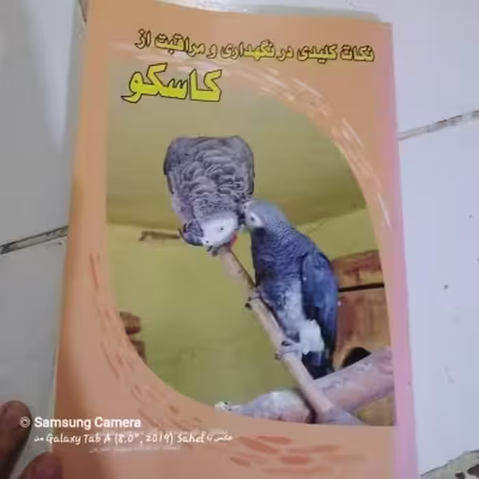 کتاب نکات کلیدی نگهداری و مراقبت از کاسکو