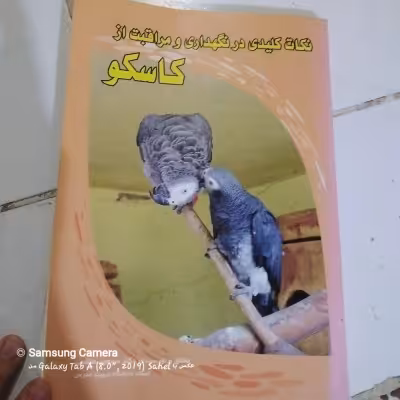 کتاب نکات کلیدی نگهداری و مراقبت از کاسکو