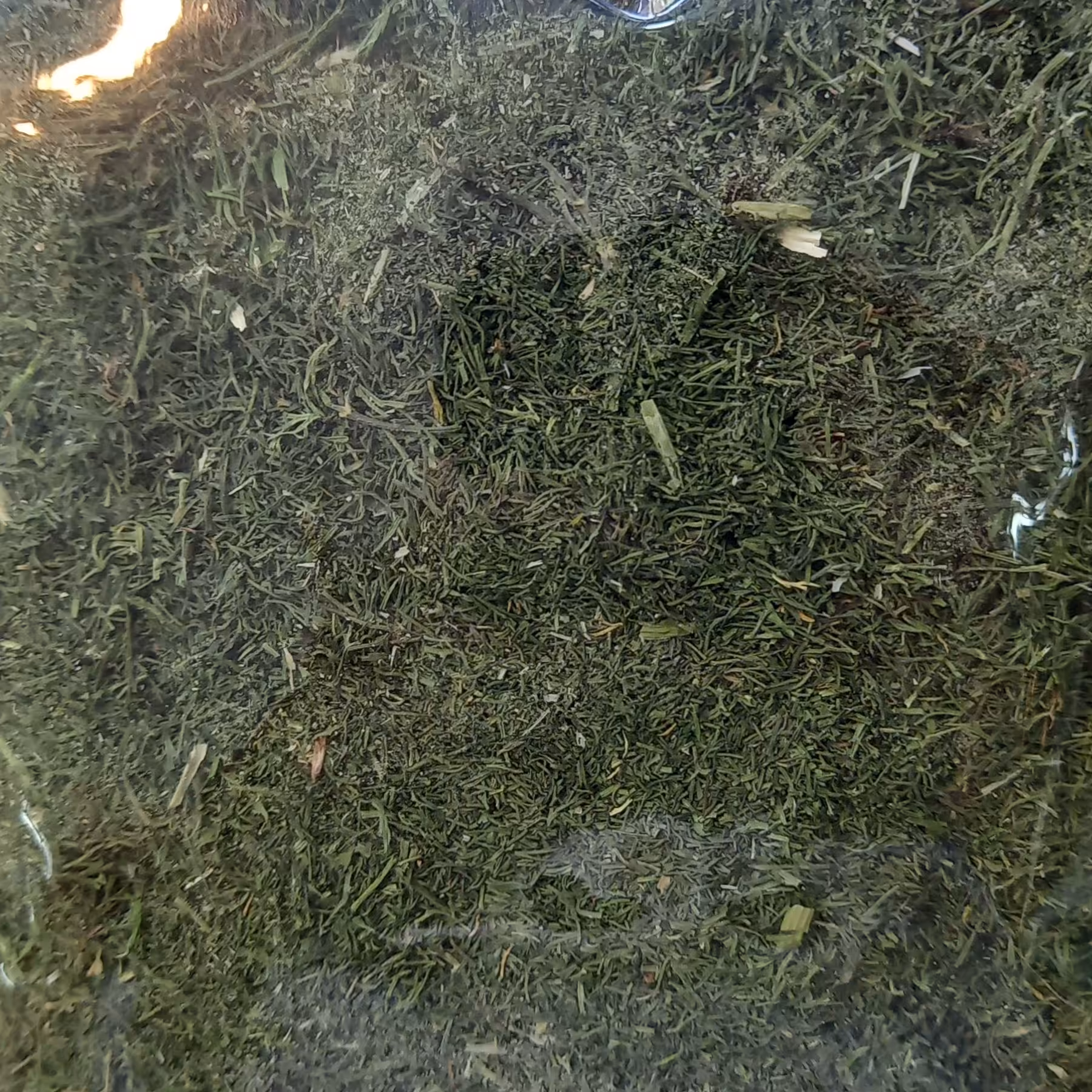 شوید خشک محلی