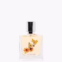 عطر و ادکلن زنانه دلیکت بلوم کوتون ( Koton Delicate Bloom 50 ml )